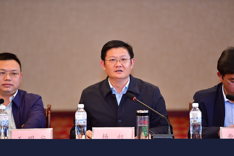 湖南省第九批援藏工作队前线党委书记,总领队杨昶讲话